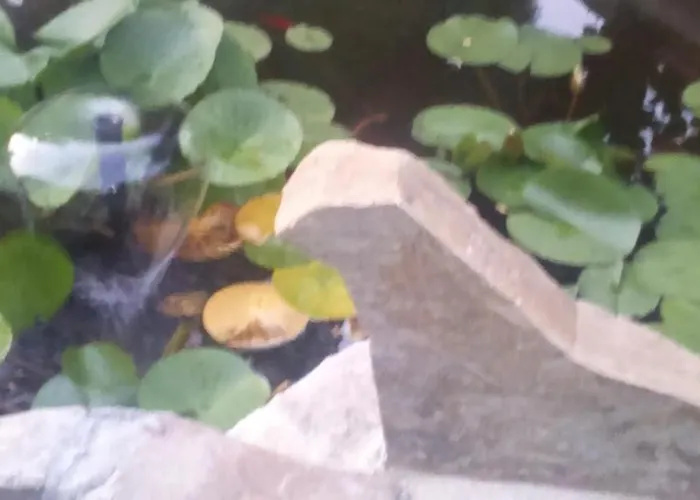 U Janina לינה וארוחת בוקר 3*